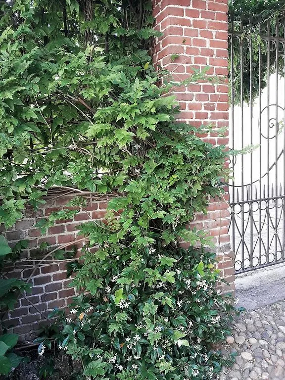 Villa Cantoni Gropello Cairoli Gasthuis